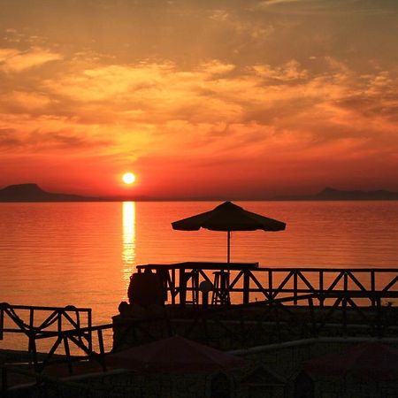 Alkionis Beach Hotel Apartments Sfáka Екстериор снимка